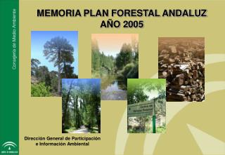 MEMORIA PLAN FORESTAL ANDALUZ AÑO 2005