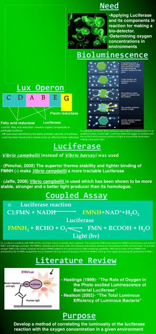 Applying Luciferase and its components in reaction for making a bio-detector.