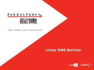 Linux DNS Service