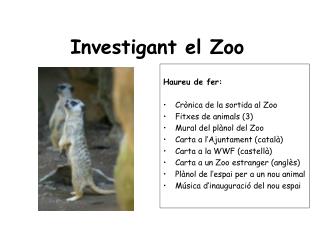 Investigant el Zoo