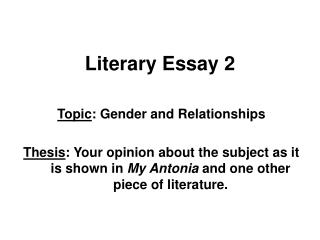 What is the best definition of a literary analysis essay