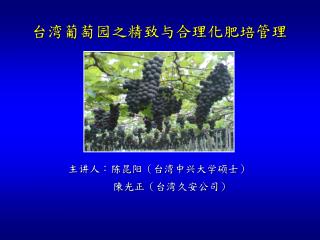 台湾葡萄园之精致与合理化肥培管理