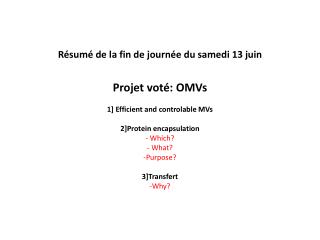 Résumé de la fin de journée du samedi 13 juin Projet voté: OMVs 1] Efficient and controlable MVs