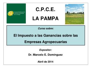 C.P.C.E. LA PAMPA Expositor: Dr. Marcelo E. Domínguez Abril de 2014