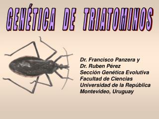 Dr. Francisco Panzera y Dr. Ruben Pérez Sección Genética Evolutiva Facultad de Ciencias
