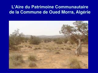 L’Aire du Patrimoine Communautaire de la Commune de Oued Morra, Algérie