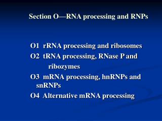 O1 rRNA processing and ribosomes O2 tRNA processing, RNase P and ribozymes