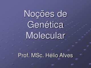 Prof. MSc. Hélio Alves