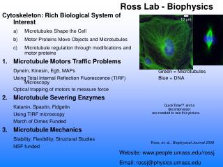 Ross Lab - Biophysics