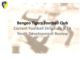 Bengeo Tigers Football Club Current Football Structure &amp; FA Youth Development Review