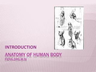 aNaTOMY OF HUMAN BODY fidya,drg,M.Si