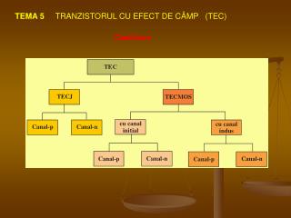 TEMA 5 TRANZISTORUL CU EFECT DE CÂMP (TEC)