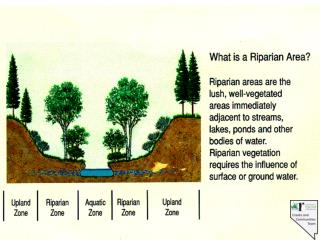 Riparian Proper Functioning Condition