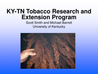 KY-TN Tobacco Research and Extension Program Scott Smith and Michael Barrett