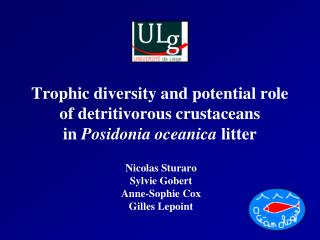 Trophic diversity and potential role of detritivorous crustaceans in Posidonia oceanica litter