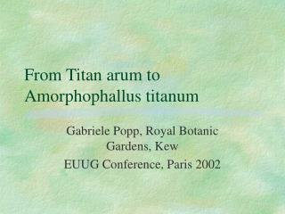 From Titan arum to Amorphophallus titanum