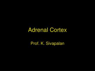 Adrenal cortex hormones steroids