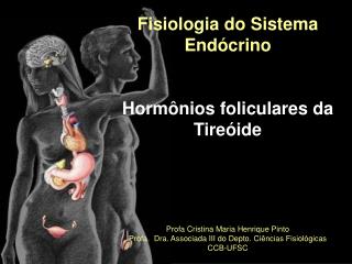 Fisiologia do Sistema Endócrino Hormônios foliculares da Tireóide
