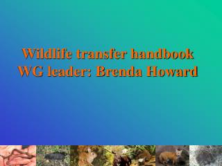 Wildlife transfer handbook WG leader: Brenda Howard