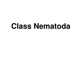 Class Nematoda