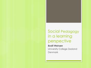 Social Pedagogy in a learning perspective