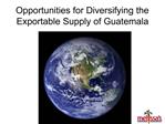 Opportunities for Diversifying the Exportable Supply of Guatemala
