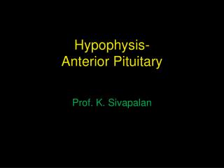 Hypophysis- Anterior Pituitary