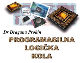 Dr Dragana Prokin