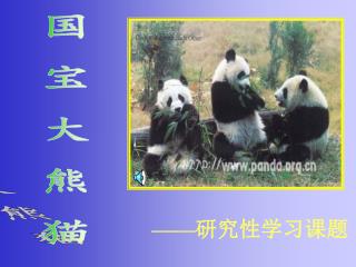 国 宝 大 熊 猫