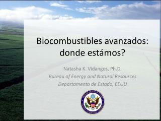 Biocombustibles avanzados: donde estámos?