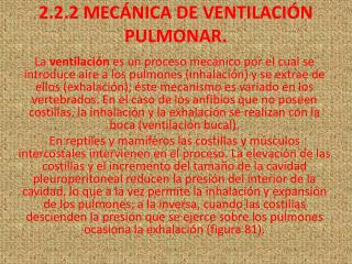 2.2.2 MECÁNICA DE VENTILACIÓN PULMONAR.