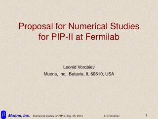 Proposal for Numerical Studies for PIP-II at Fermilab