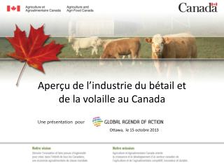 Aperçu de l’industrie du bétail et de la volaille au Canada