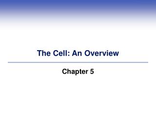 The Cell: An Overview