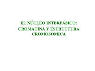 EL NÚCLEO INTERFÁSICO: CROMATINA Y ESTRUCTURA CROMOSÓMICA
