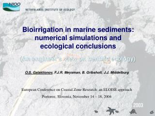 Bioirrigation in marine sediments: numerical simulations and ecological conclusions