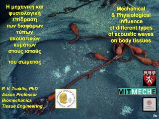P. V. Tsaklis, PhD Assoc Professor Biomechanics Tissue Engineering