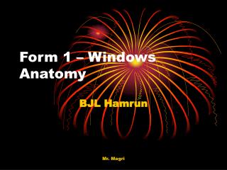 Form 1 – Windows Anatomy