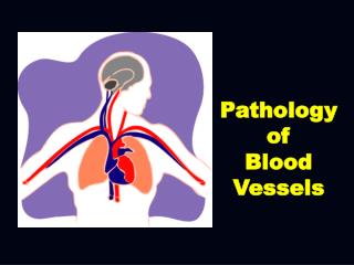 Pathology of Blood Vessels