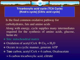 Tricarboxylic acid cycle (TCA Cycle) [Kreb’s cycle] [Citric acid cycle]
