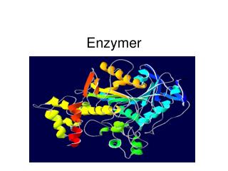 Enzymer definisjon