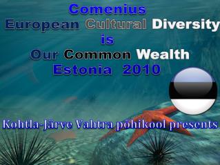 Comenius European Cultural Diversity is Our Common Wealth Estonia 2010
