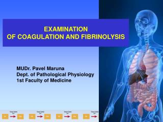 EXAMINATION OF COAGULATION AND FIBRINOLYSIS