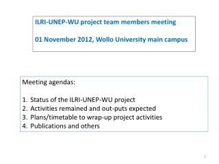 ILRI-UNEP-WU project team members meeting 01 November 2012, Wollo University main campus