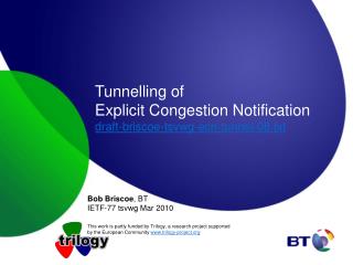 Tunnelling of Explicit Congestion Notification draft-briscoe-tsvwg-ecn-tunnel-08.txt