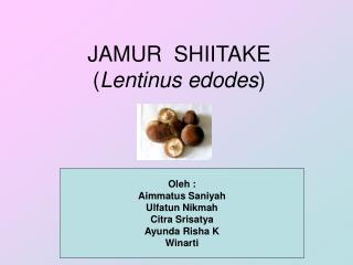 JAMUR SHIITAKE ( Lentinus edodes )
