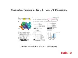 J Huang et al . Nature 000 , 1 - 5 (2012) doi:10.1038/nature10806