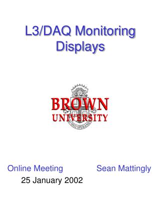L3/DAQ Monitoring Displays