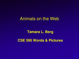 Animals on the Web