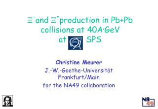 X - and X + production in Pb+Pb collisions at 40A  GeV at SPS